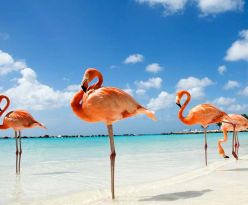 ЕКСКЛУЗИВНИ ОТСТЪПКИ - Почивка на о.Джерба, Тунис със самолет от София - 7 нощувки!